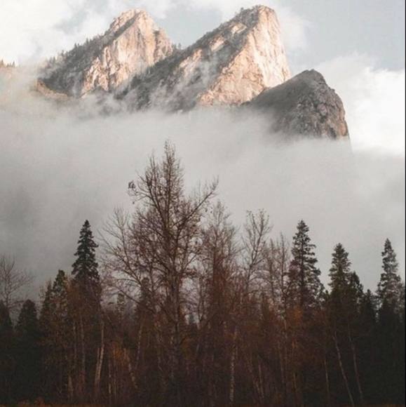 Meet your Posher, Taylor - Picture 1 of 1